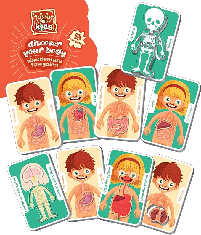 Descubre tu cuerpo / Discover your body