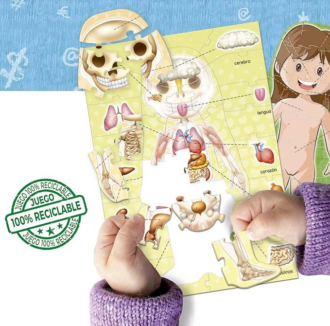 Aprender Es Divertido El Cuerpo Humano